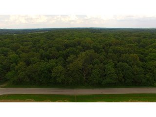 TRACT 64 - ILLINOIS LAND AUCTION - 4,810+/- ACRES OFFERED IN 85 TRACTS IN FRANKLIN, WILLIAMSON, HAMILTON & SALINE COUNTIES, ILLINOIS